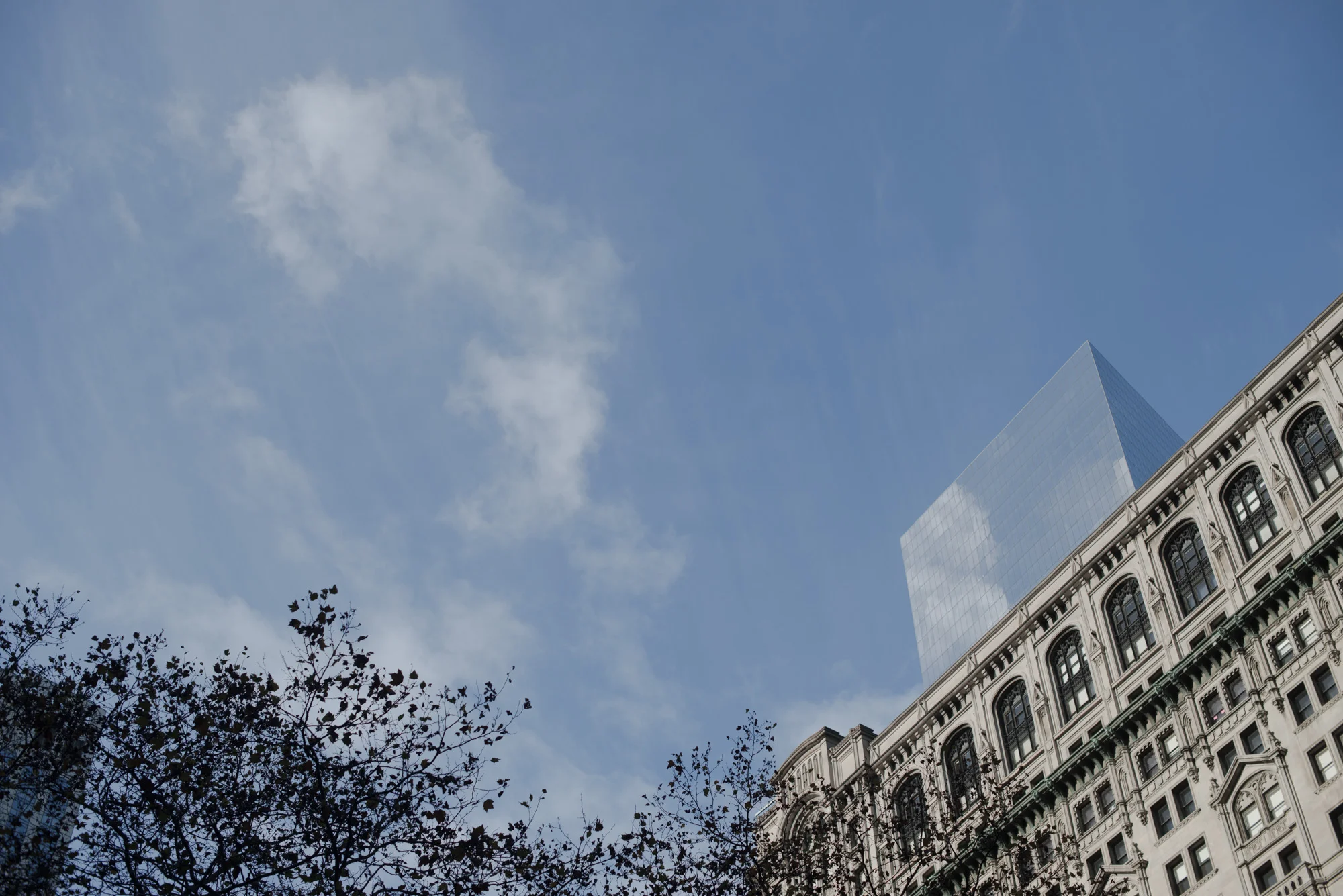 SoNY-8.jpg
