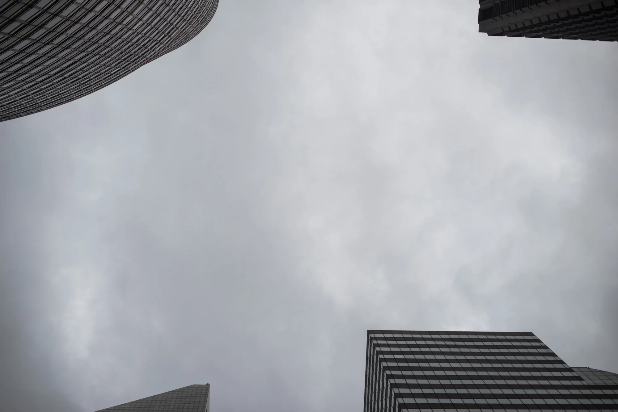 SoNY-5.jpg