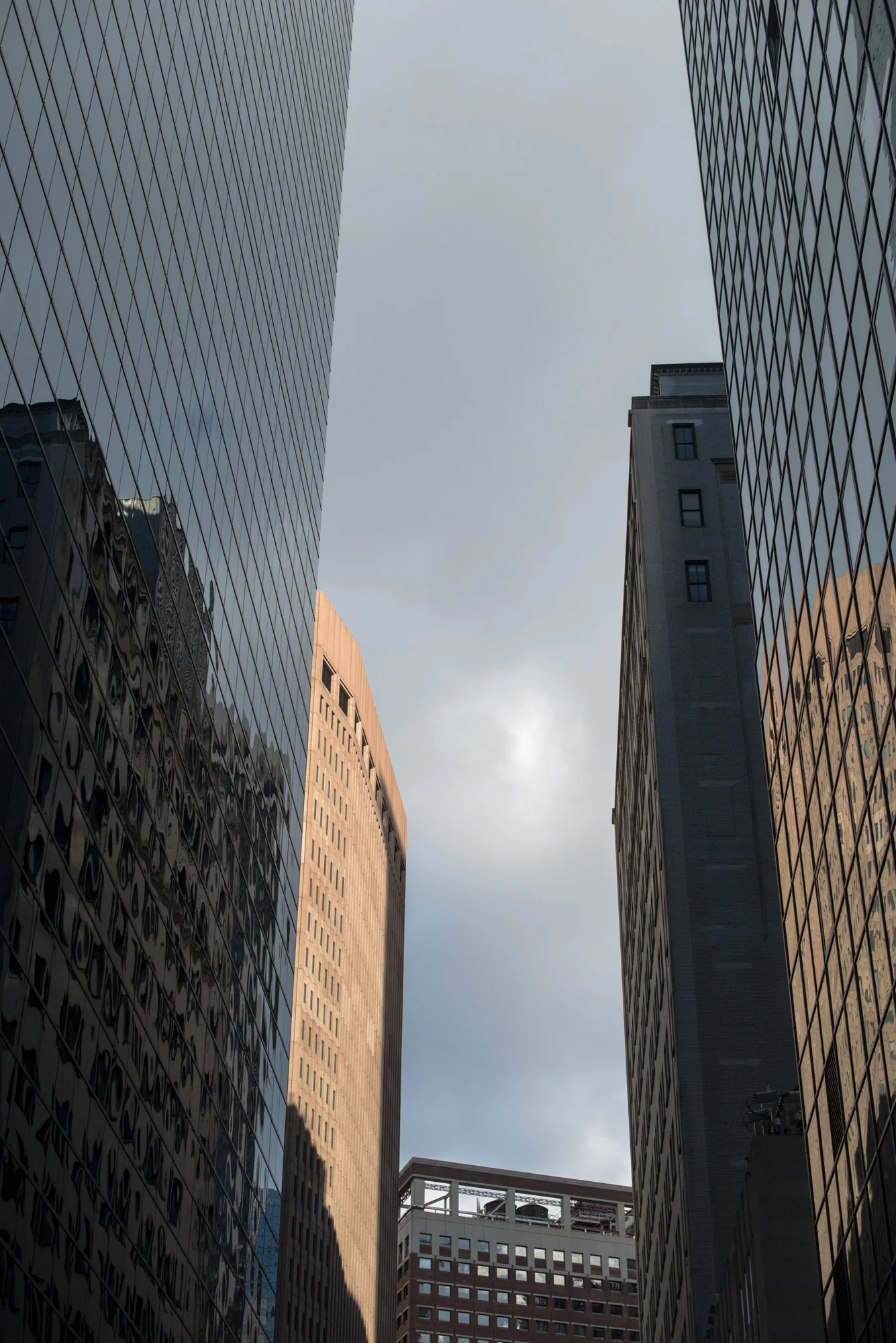 SoNY-6.jpg