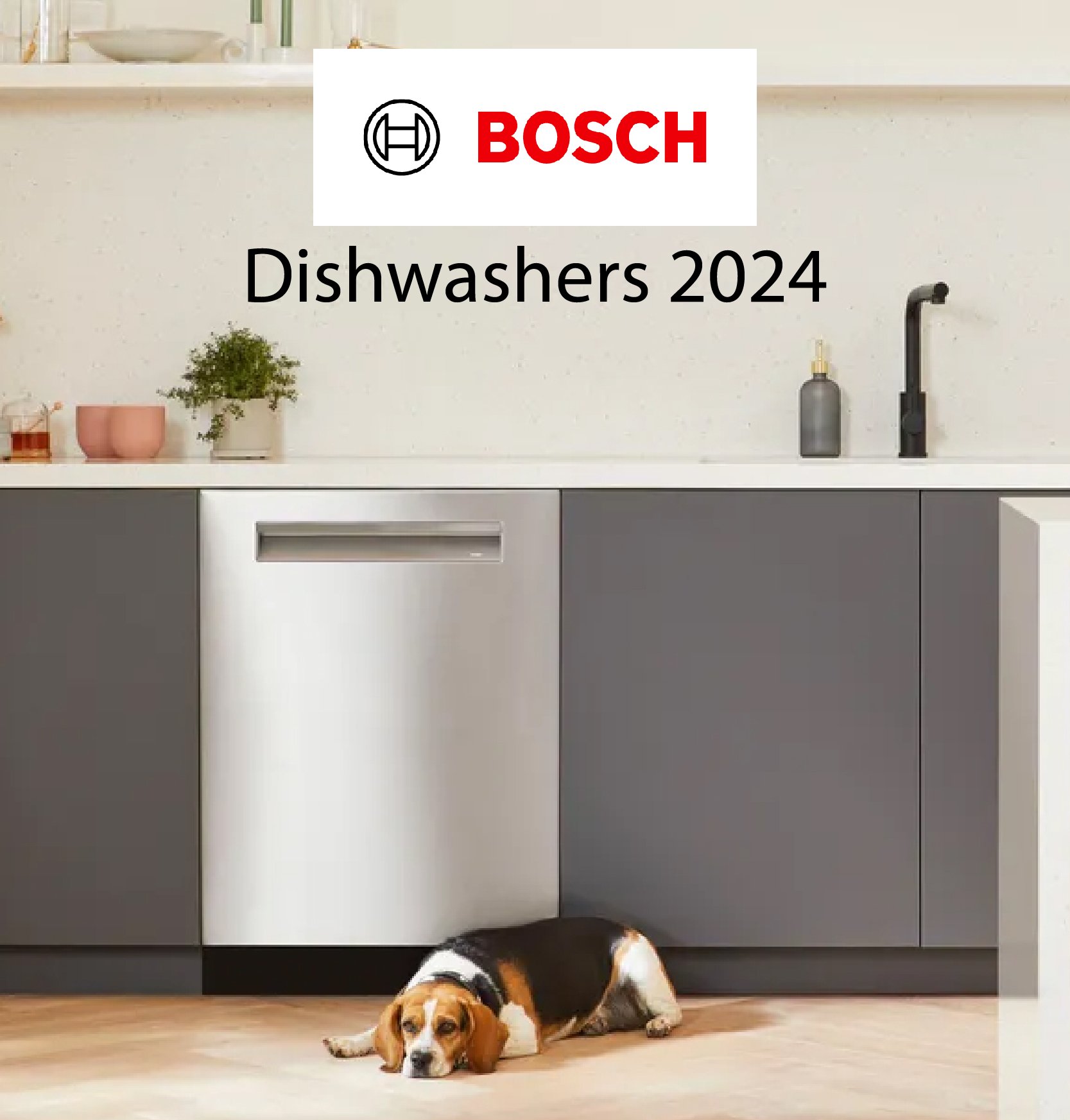 BoschDish-Spr24-Preview.jpg