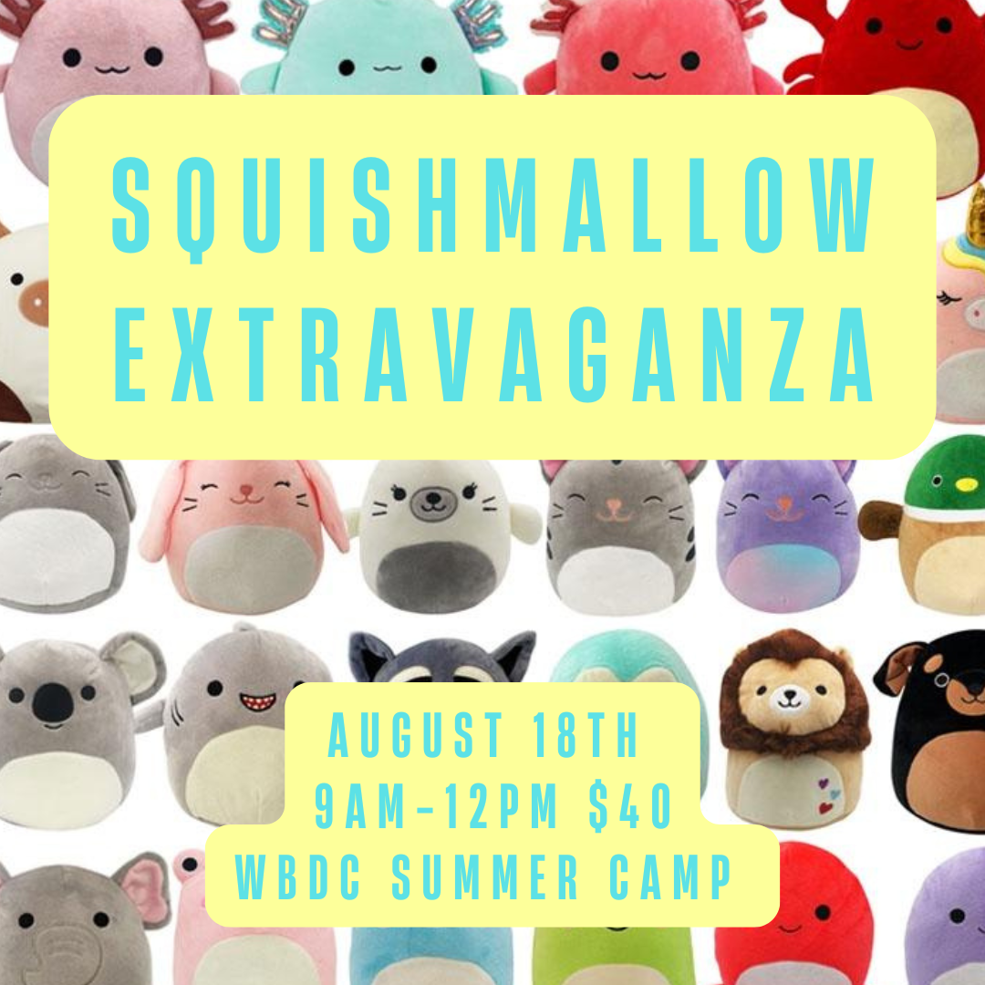 Squishmallows Camp 2026.PNG