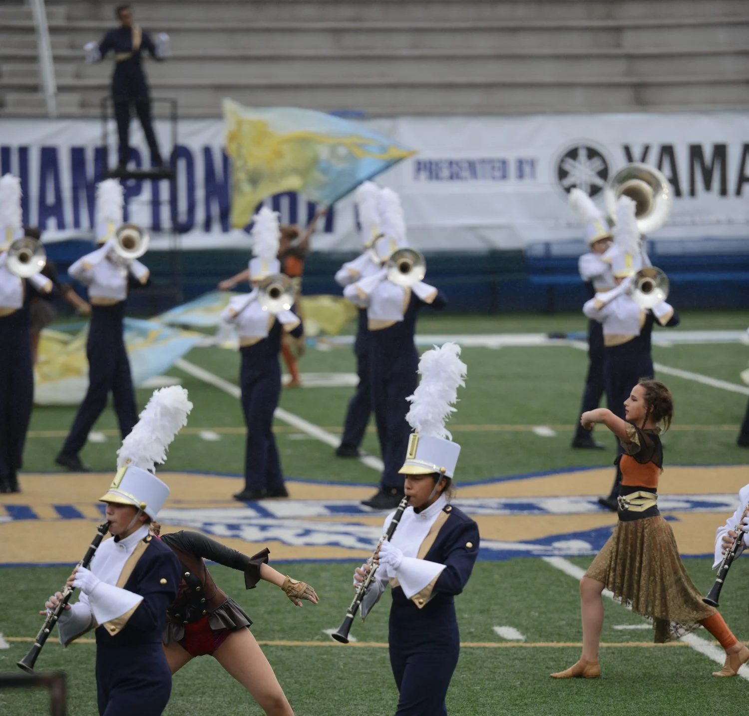 DSC_6486.JPG