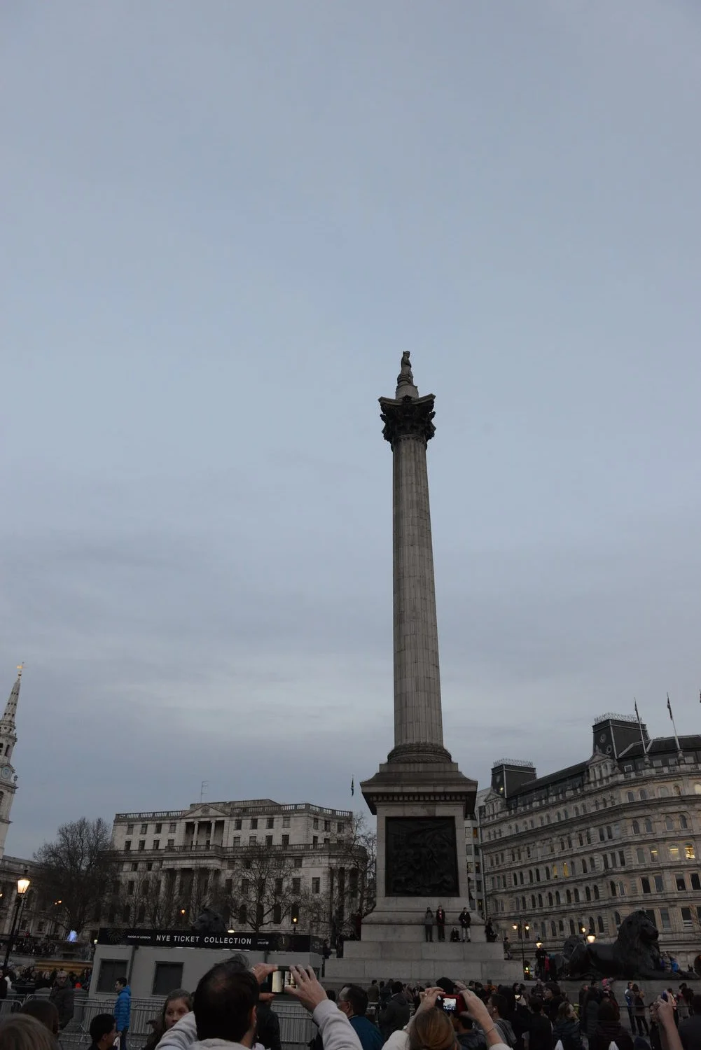 DSC_7800.JPG
