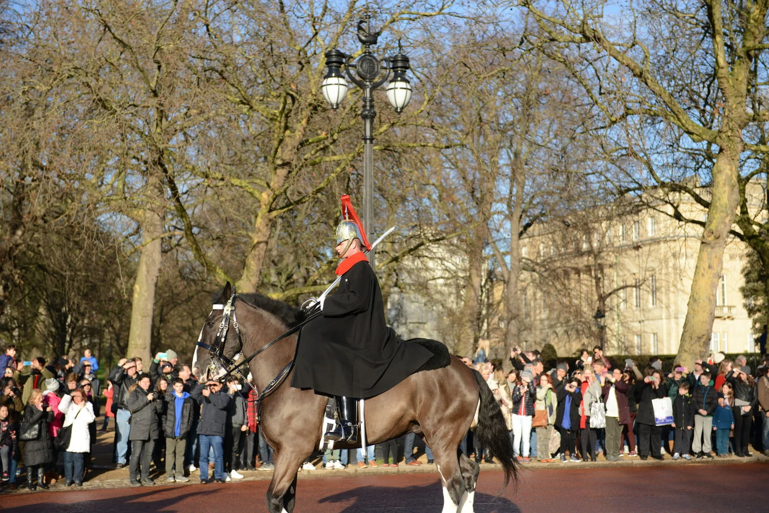 DSC_7919.JPG