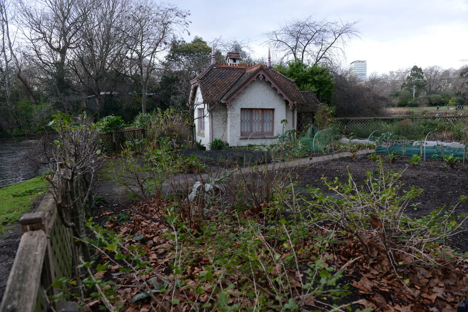 DSC_7950.JPG
