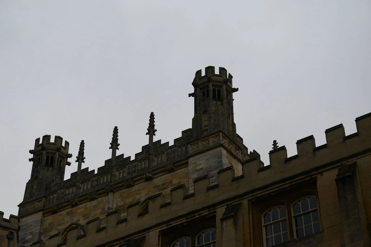 DSC_7971.JPG