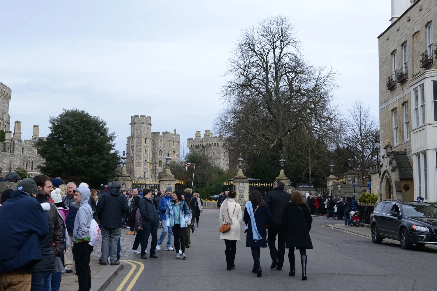 DSC_8008.JPG
