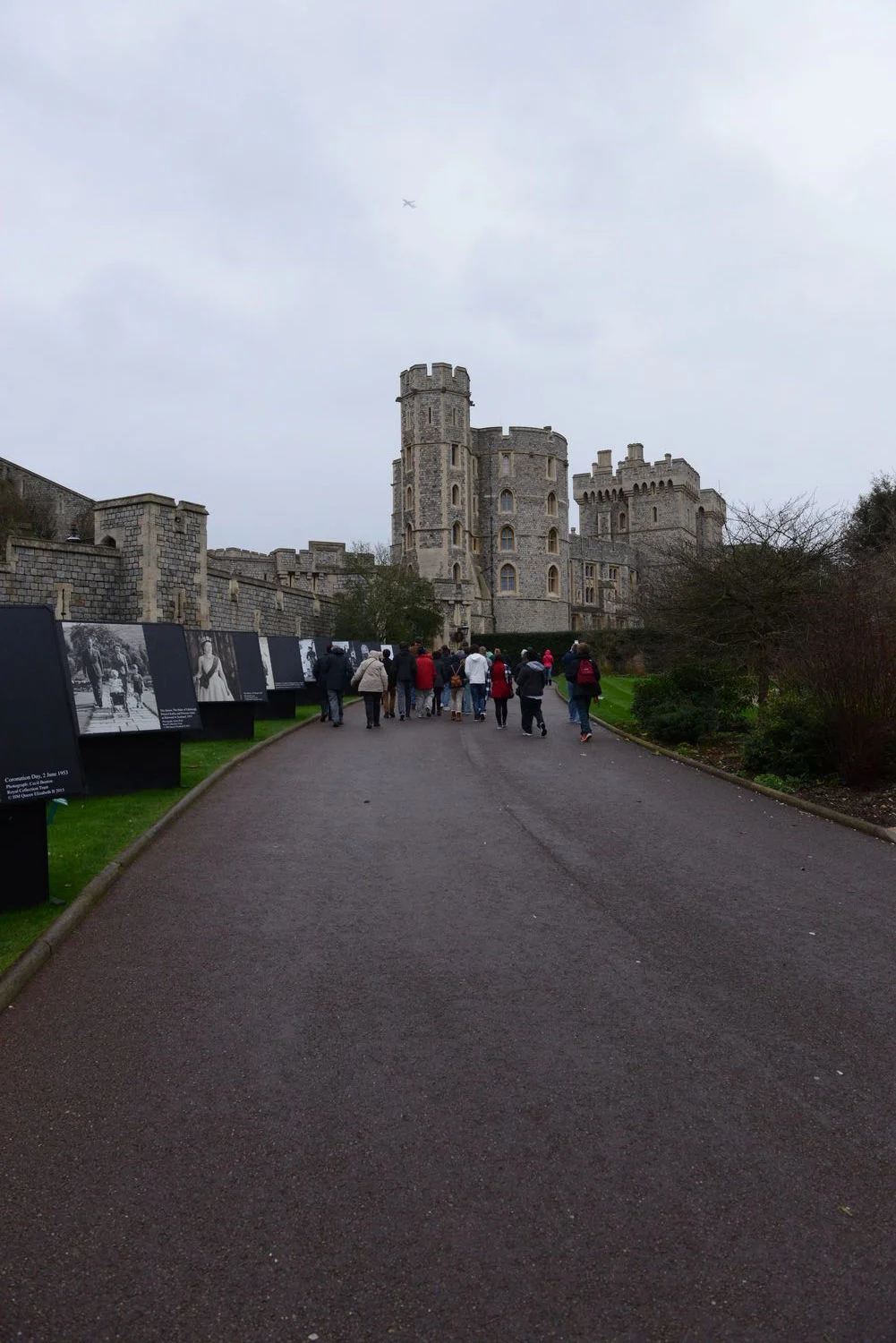 DSC_8010.JPG