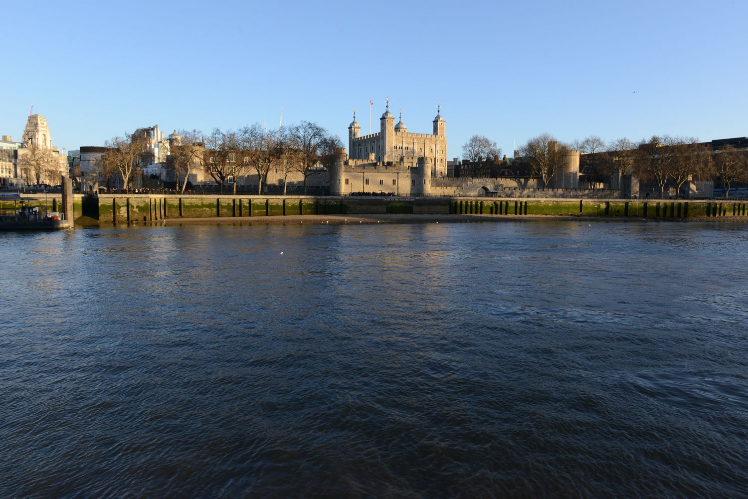 DSC_8058.JPG