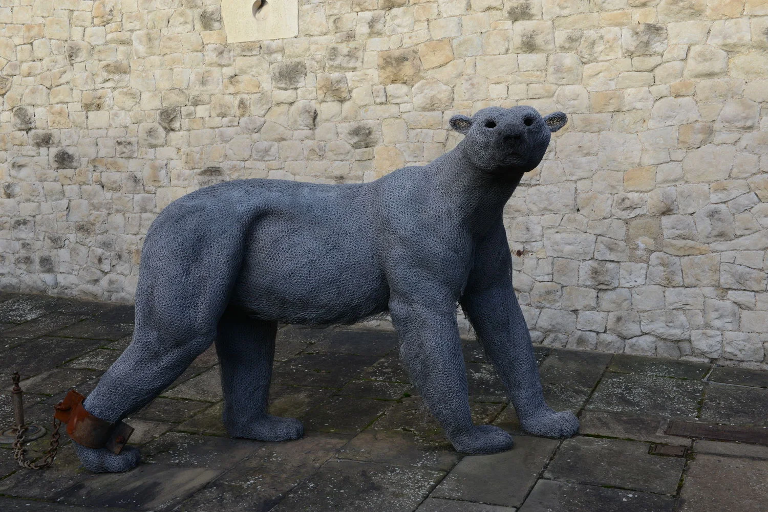 DSC_8099.JPG