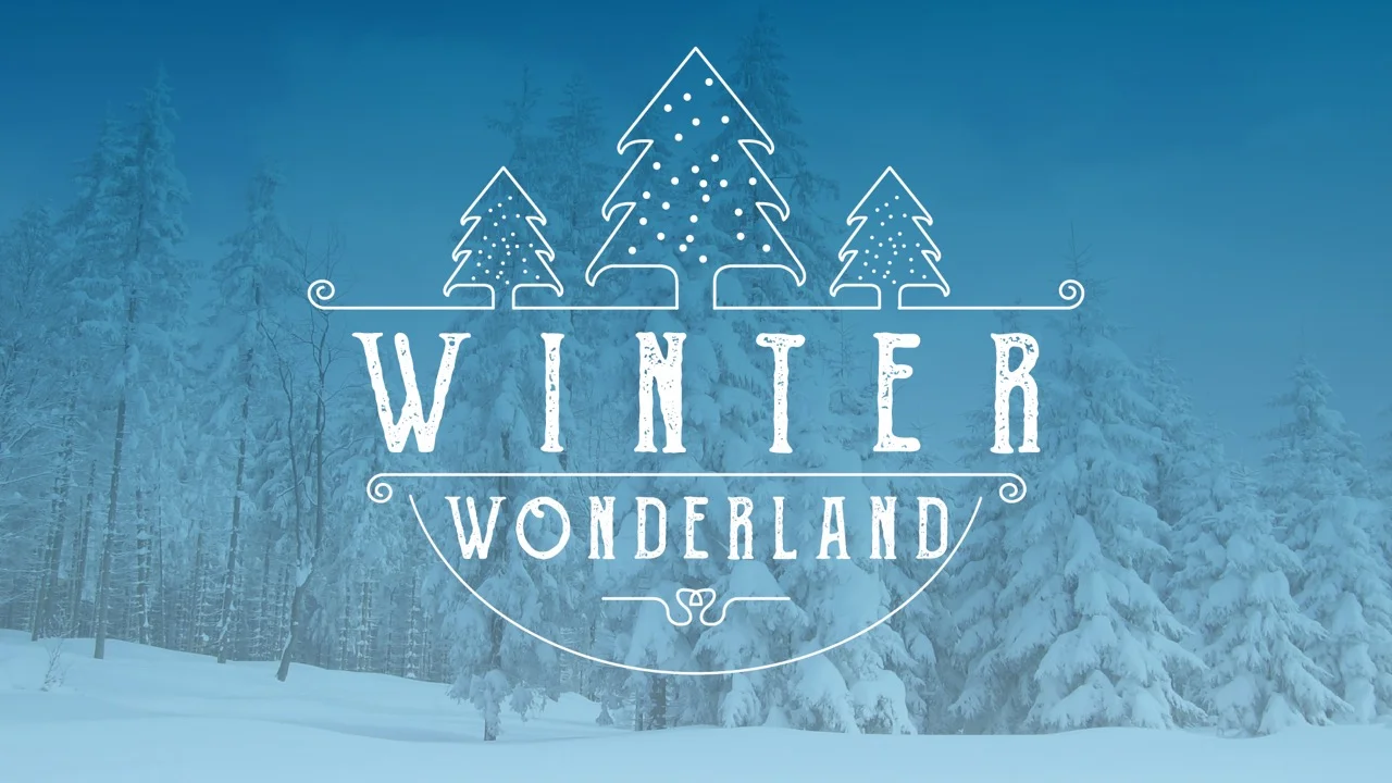 Winter Wonderland Party