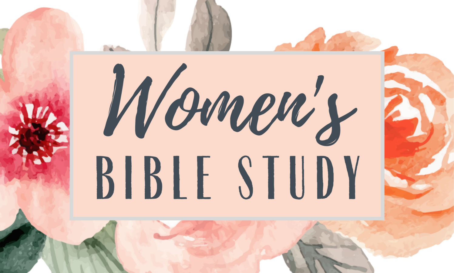 St Matthew's Womens Bible Study