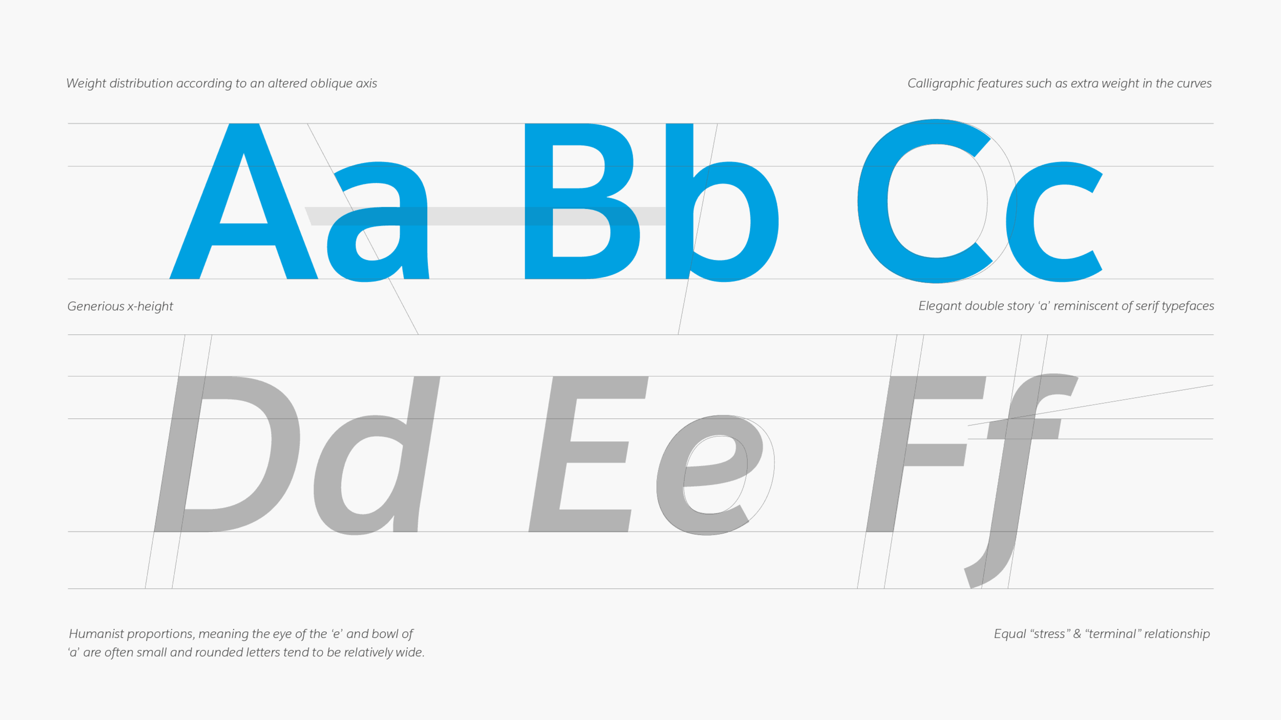 salesforce-brand-font-specimen-anatomy.png
