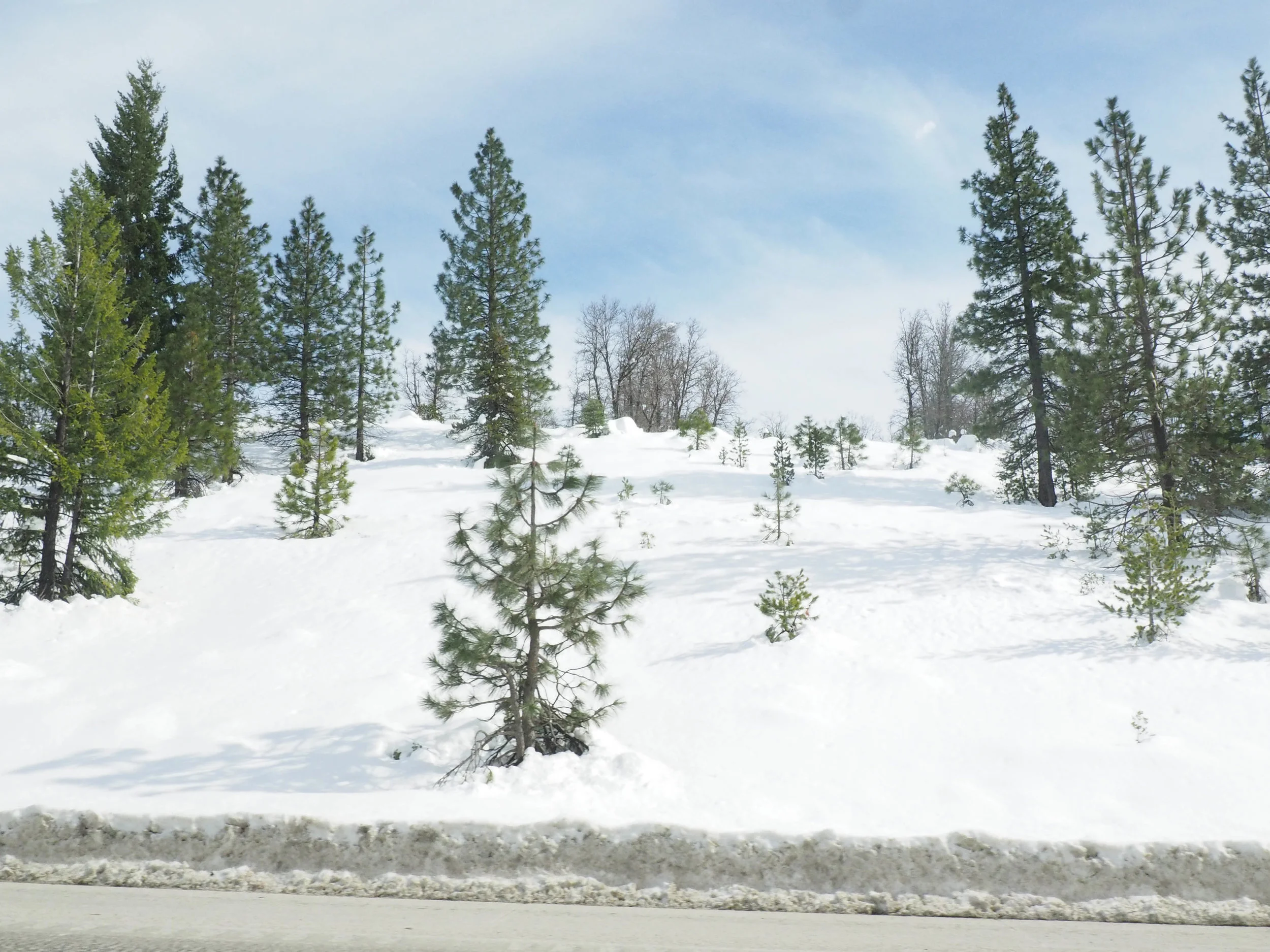 the_twoh_lake_tahoe-2.jpg