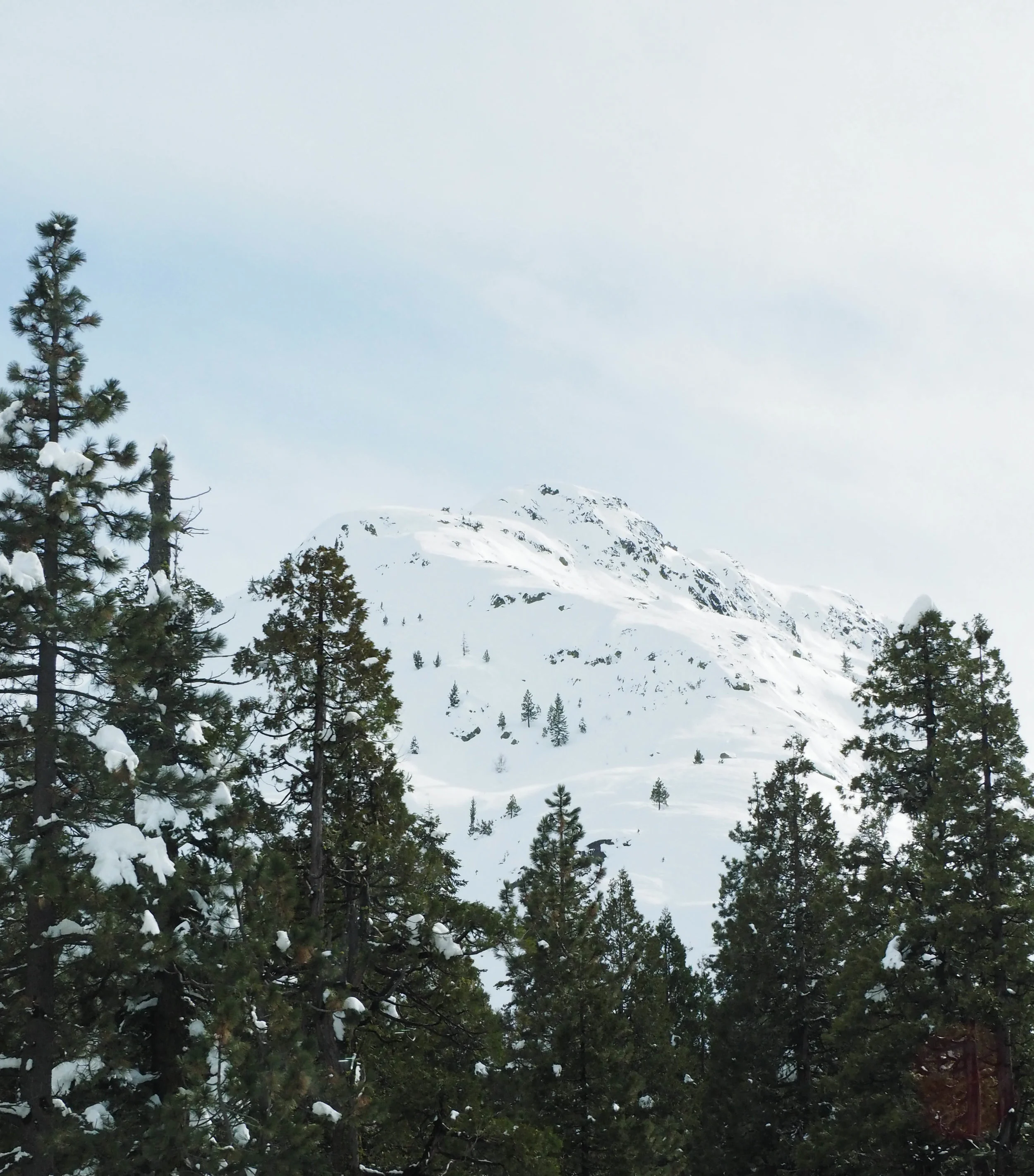 the_twoh_lake_tahoe-5.jpg