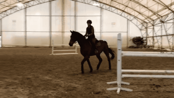 2018-04-12 18_37_00.gif