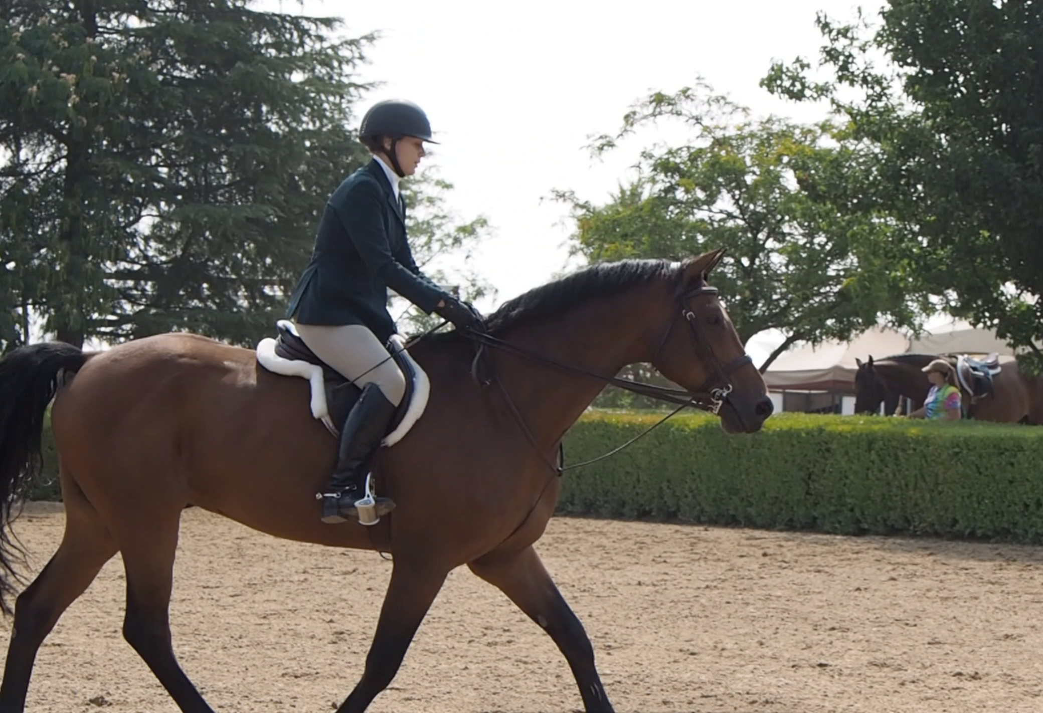 *Note: does not stop the rider from looking at horse’s lovely ears.