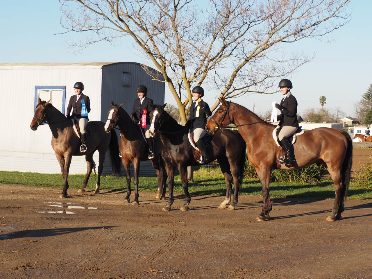 Top 4 U/S were all ladies from my barn. We got 4th and Leo could not look more proud to pose for a picture. Other horses? Not so much.