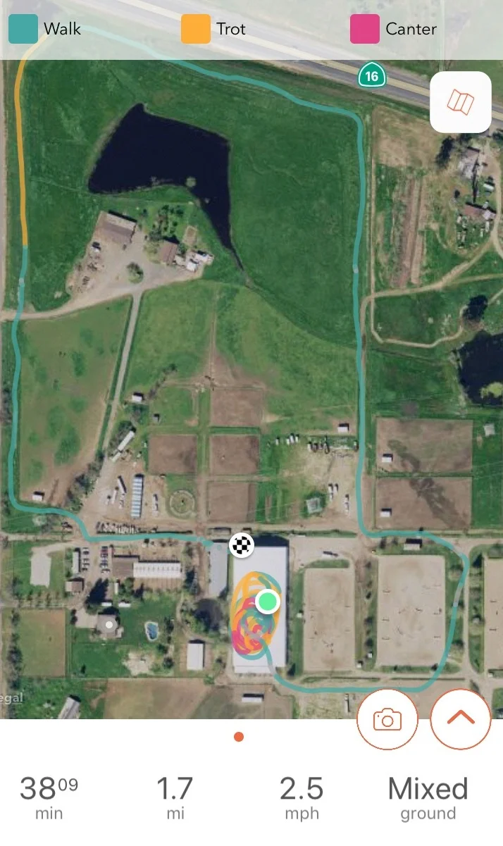 Aerial view diagram as a plain or satellite background.