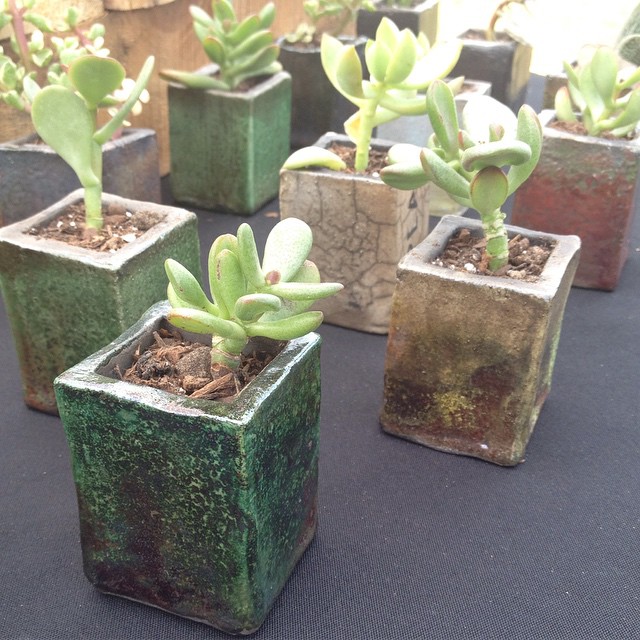 Extruded handbuilt raku succulent pot wedding favors