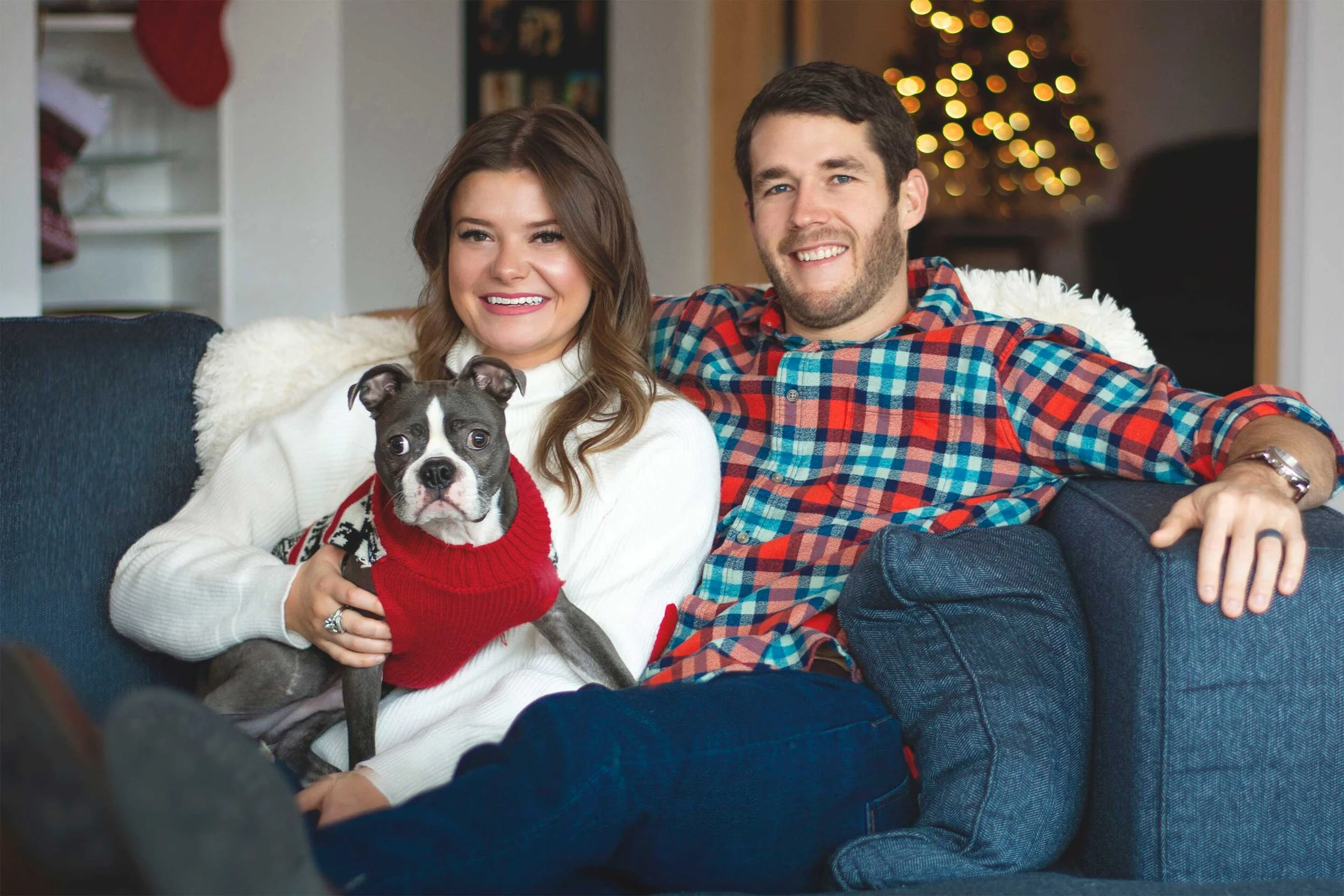pets-1.jpg