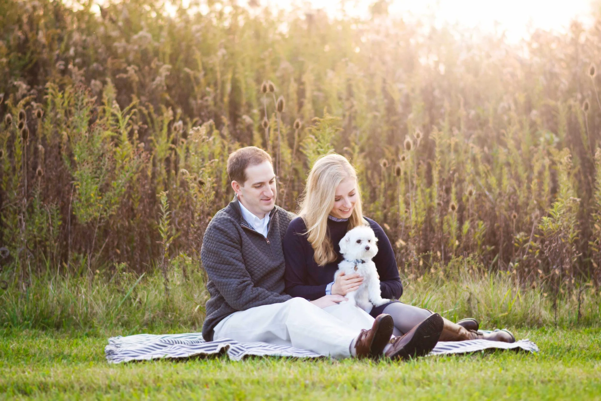 pets-4.jpg