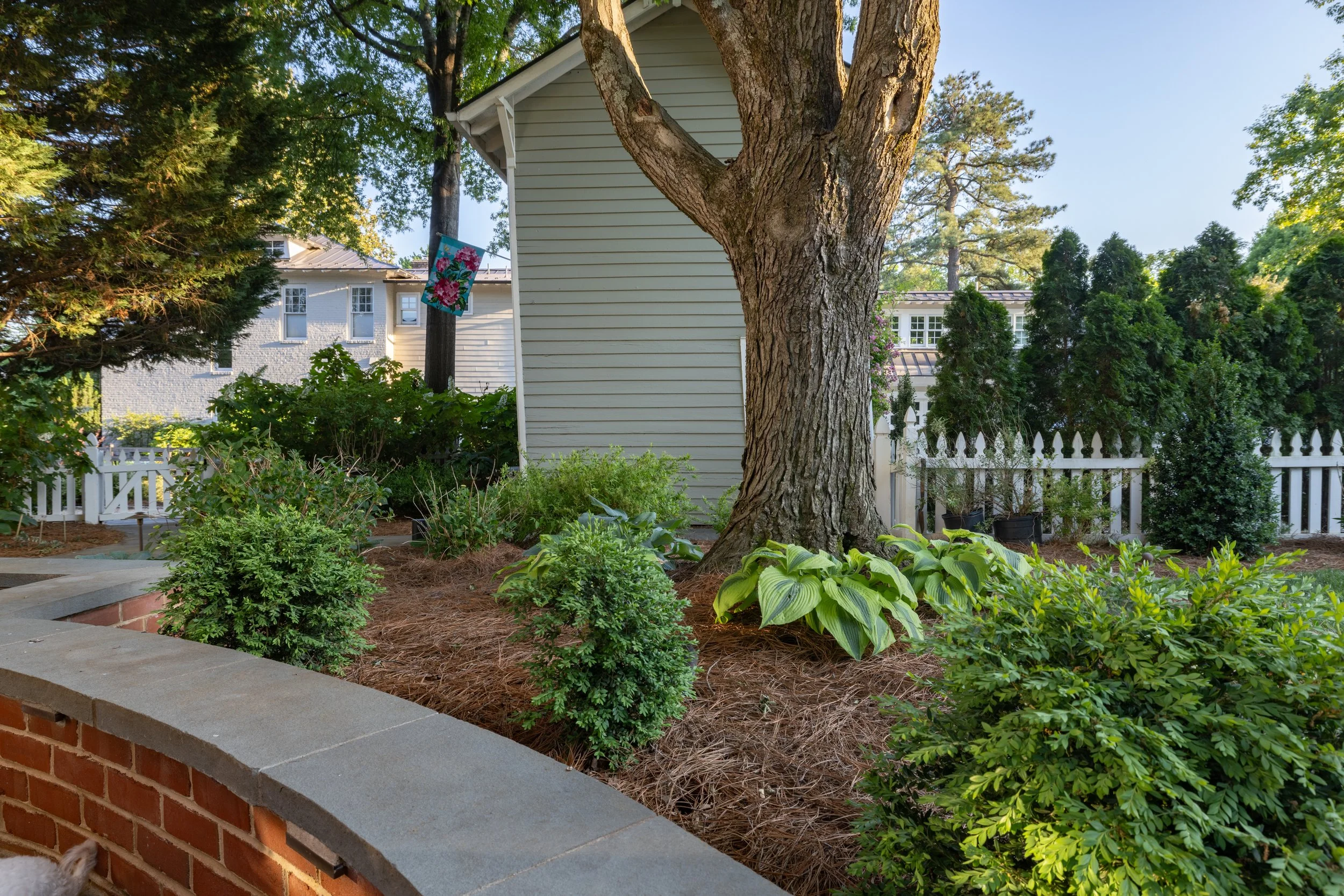 7L1A6936-HDR.jpg