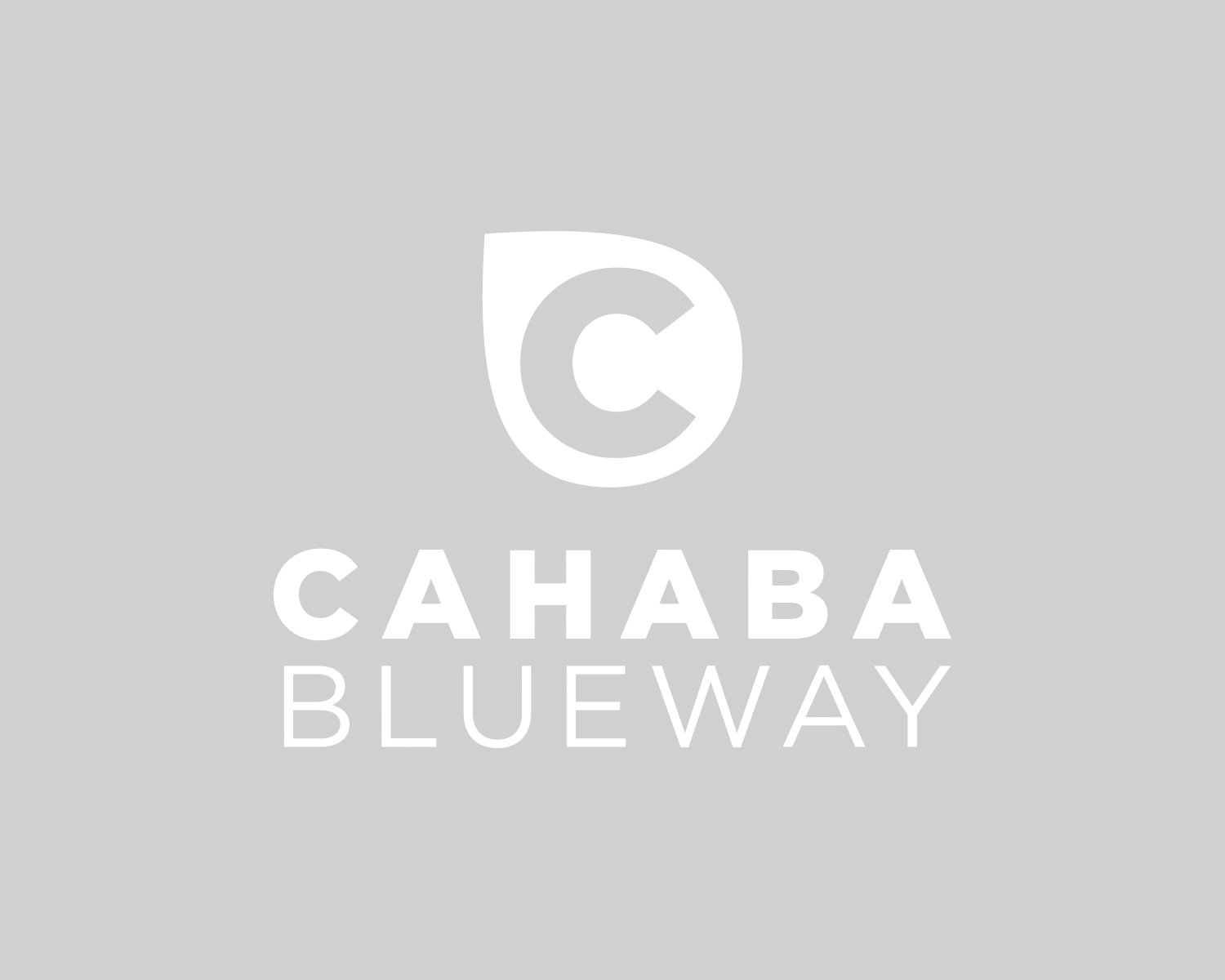 blueway_logo.jpg