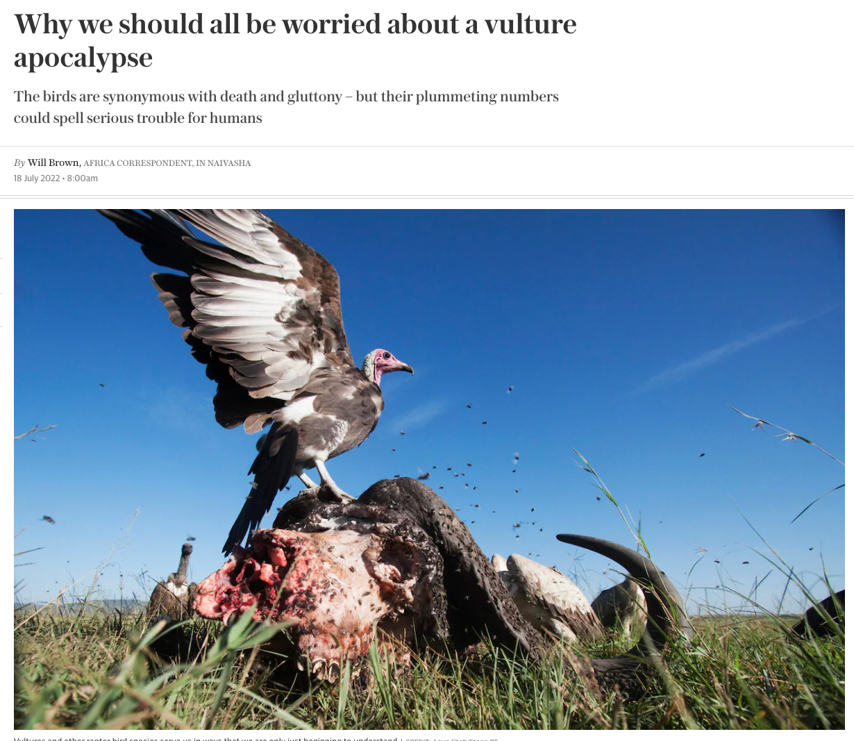 Why we should all be worried about a vulture apocalypse