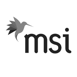 Msi logo
