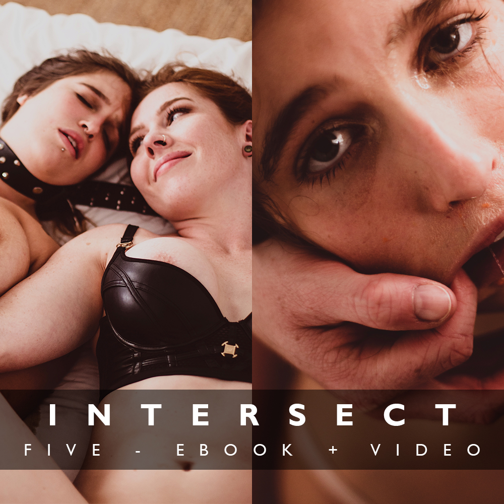 intersect 5 VID EBOOK COMBO.jpg