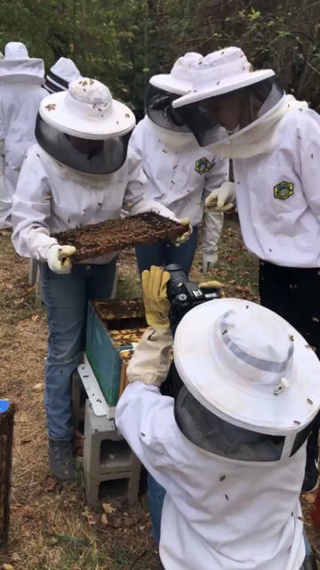 The Beekeeping Club is all the buzz on campus