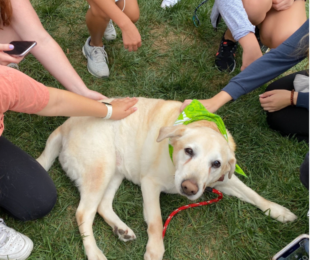 UMD hosts Mental Health Awareness Week to promote the importance of self-care