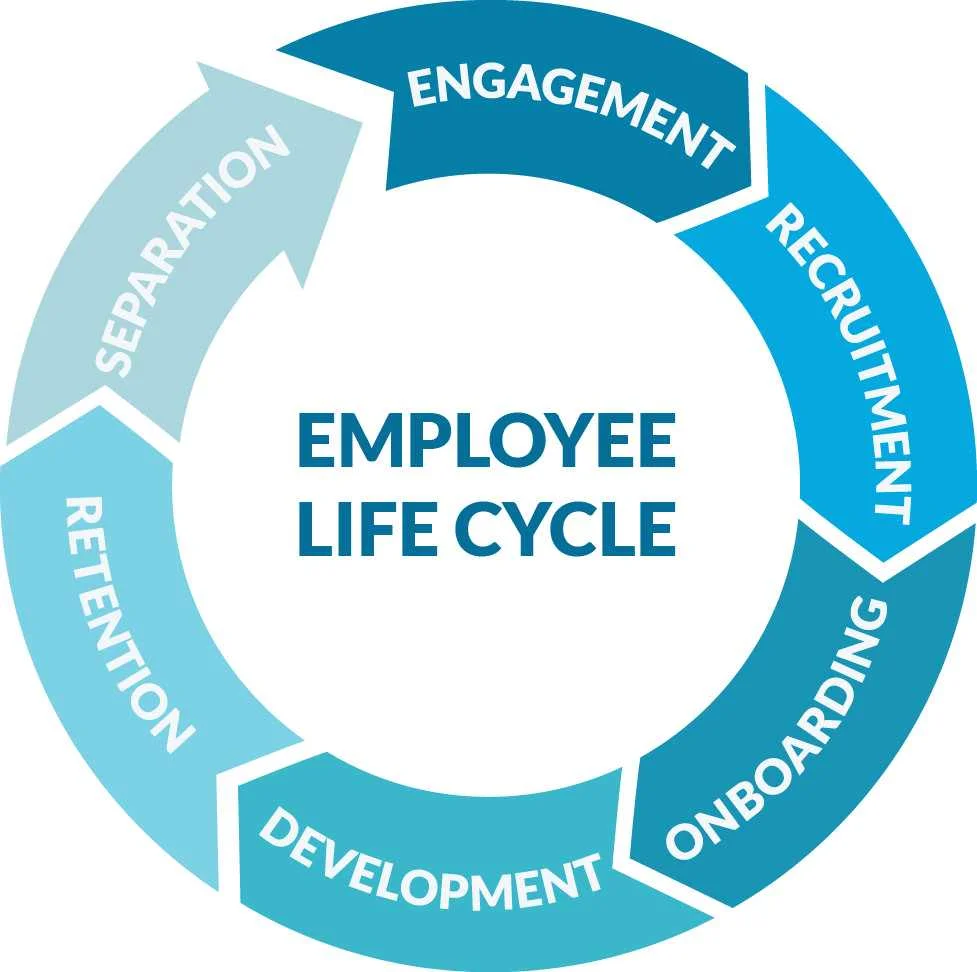 lifecycle.jpg
