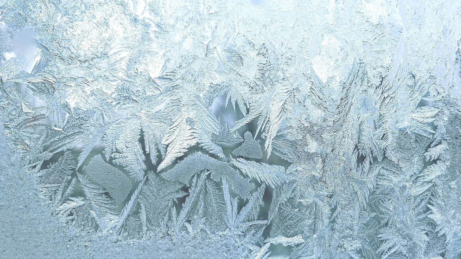 The CryoPen: Cryotherapy, Refined