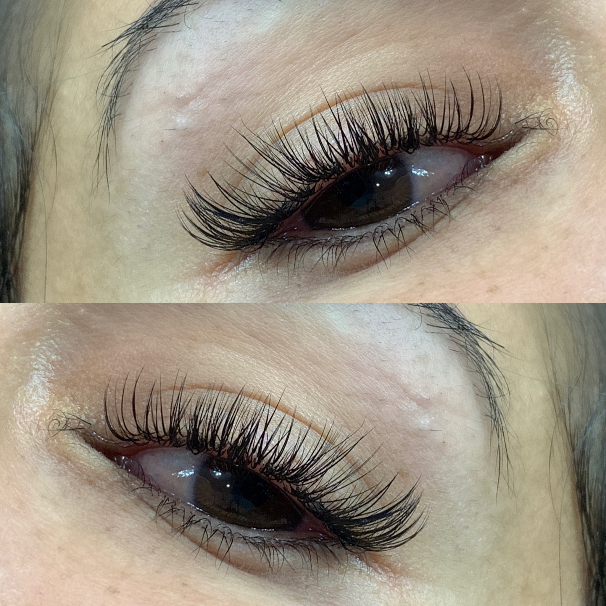 Light Volume Lash Extensions
