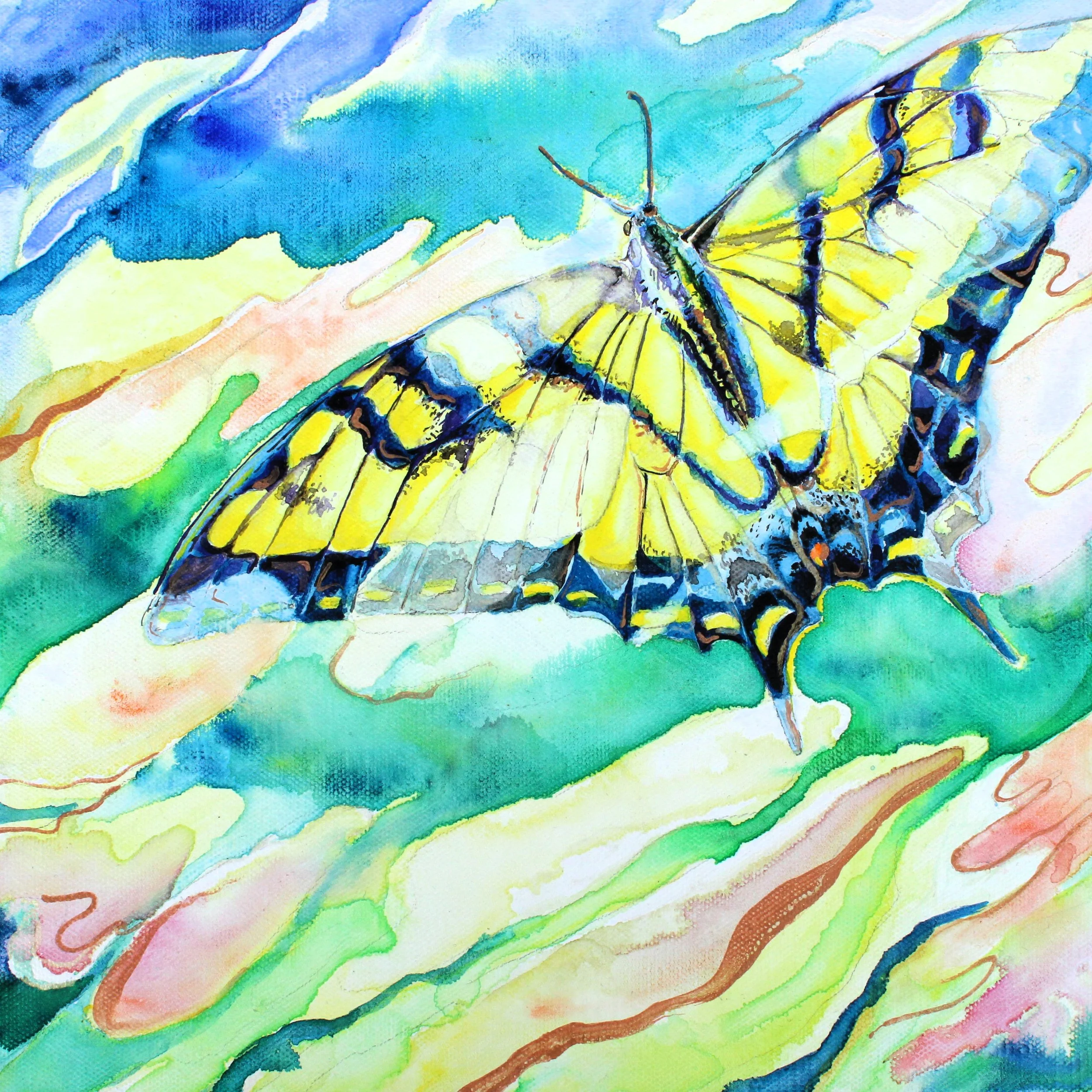 Tiger Swallowtail butterfly in flight (Sold)