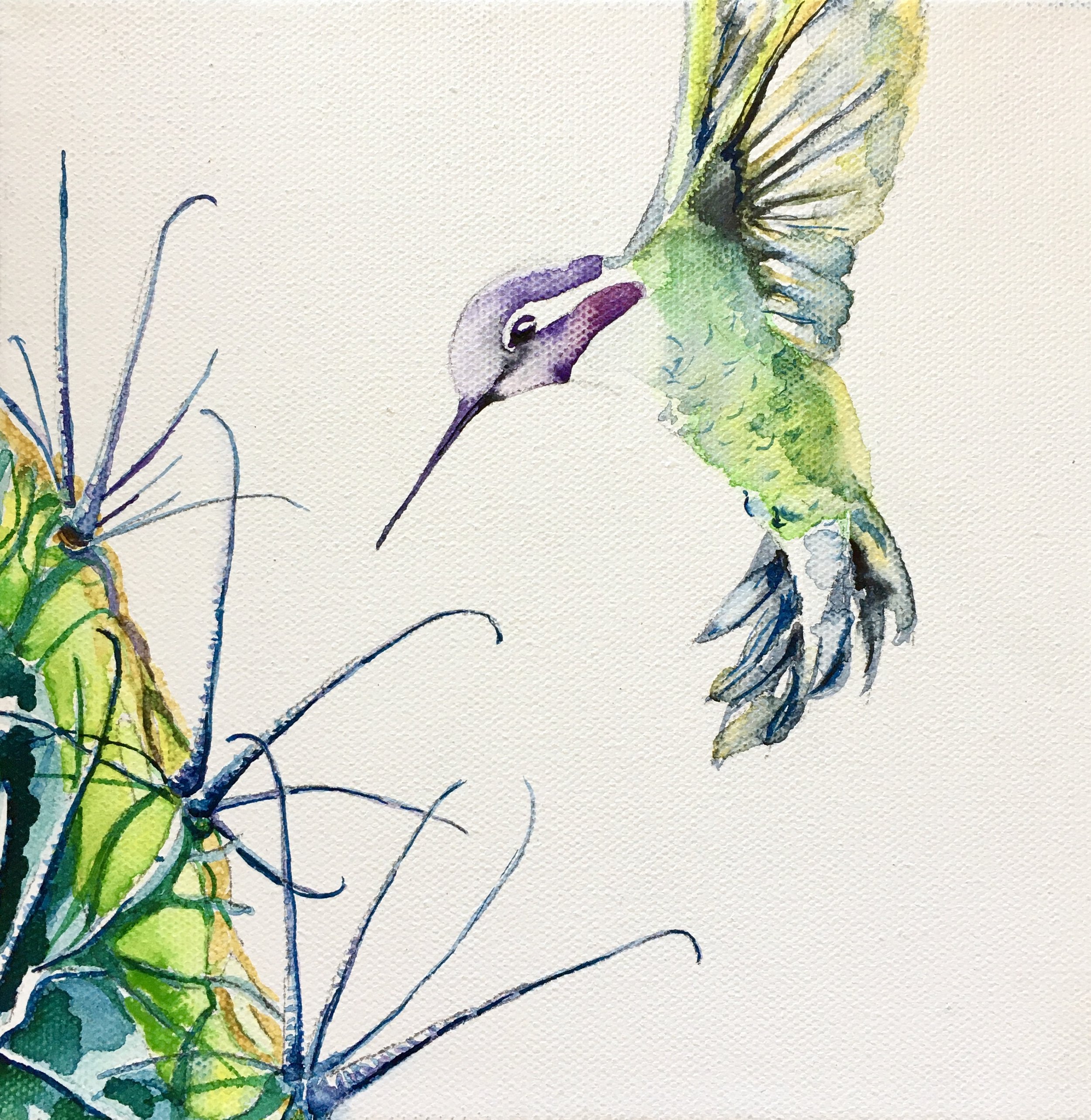 Costa's hummingbird and biznaga (SOLD)