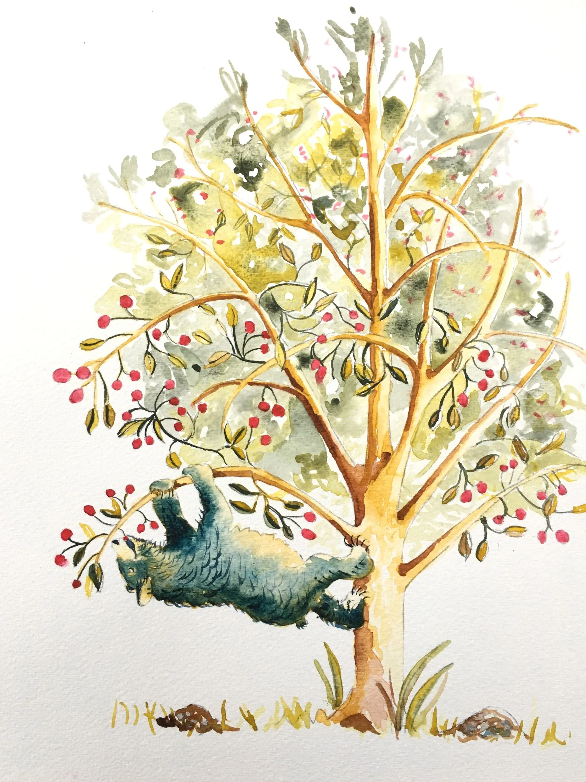 watercolour bear in cherry brighter small file.JPG