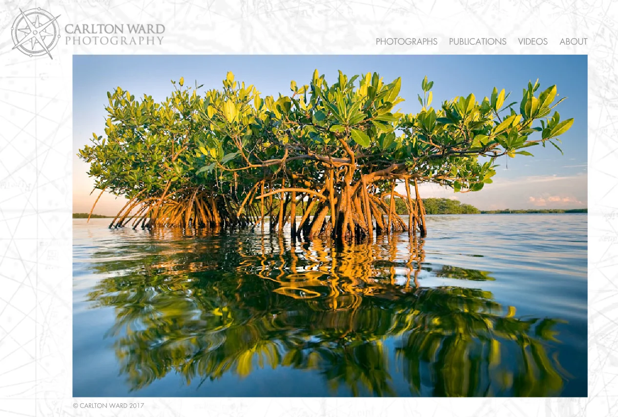 Screenshot from carltonward.com , 2017/6/12