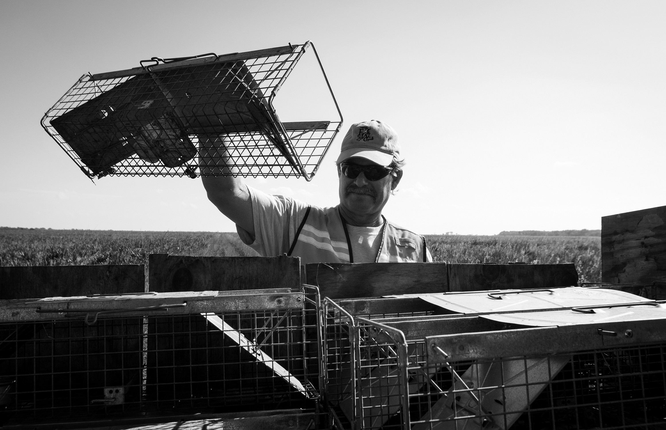 Empty cages are loaded back on the vehicle.