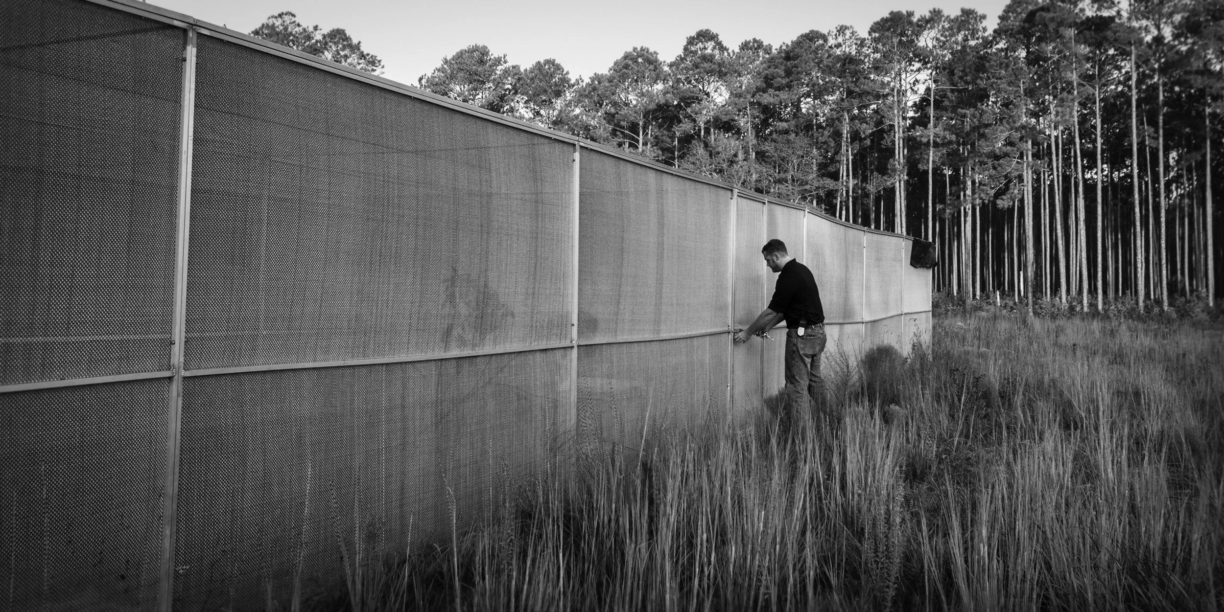 Andrew Schumann, Animal Collection Manager at White Oak, unlocks the outer door of the Florida Grasshopper Sparrow enclosure.