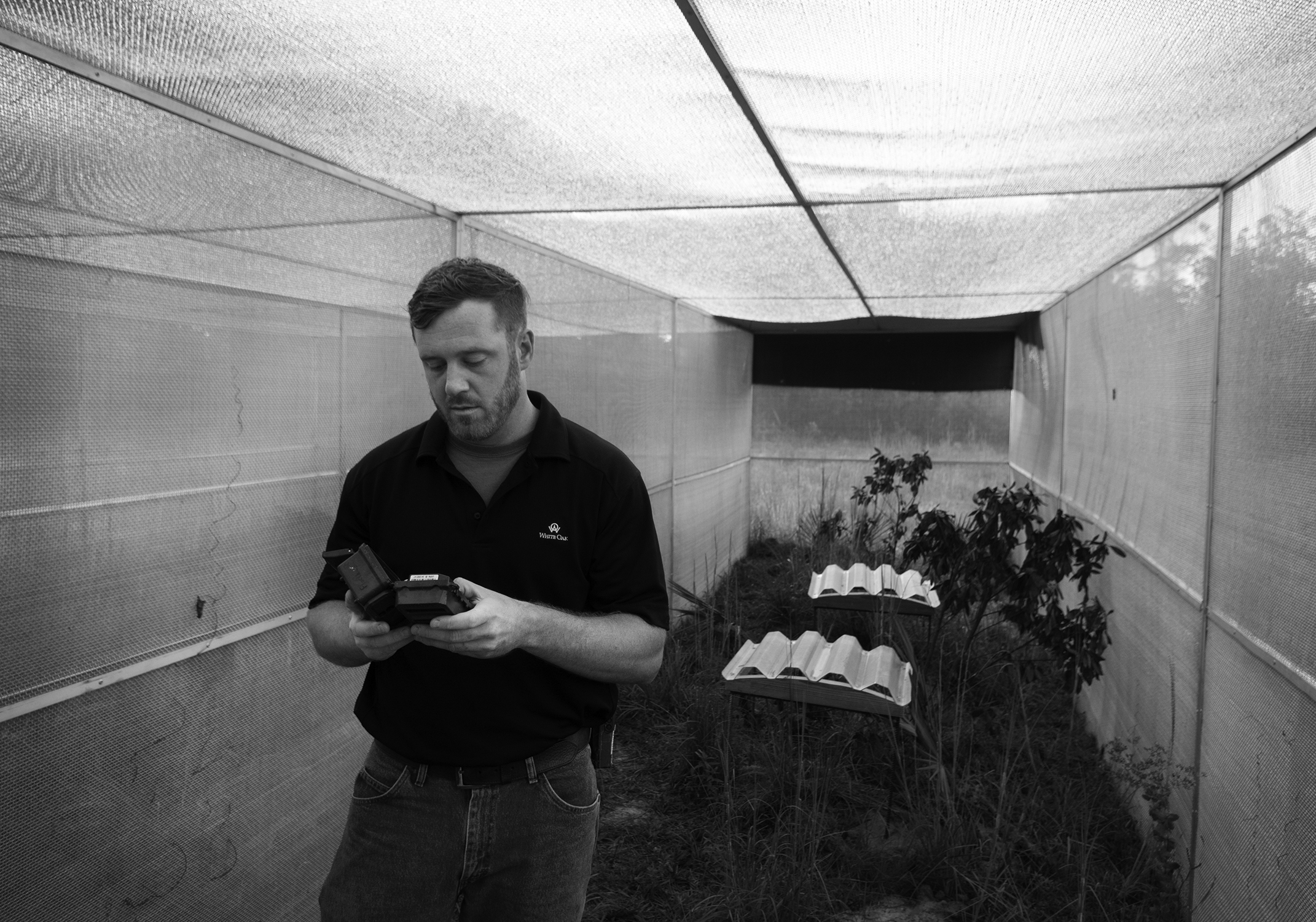 Andrew Schumann checks the wildlife cam in one of the Florida Grasshopper Sparrow rooms inside the enclosure.
