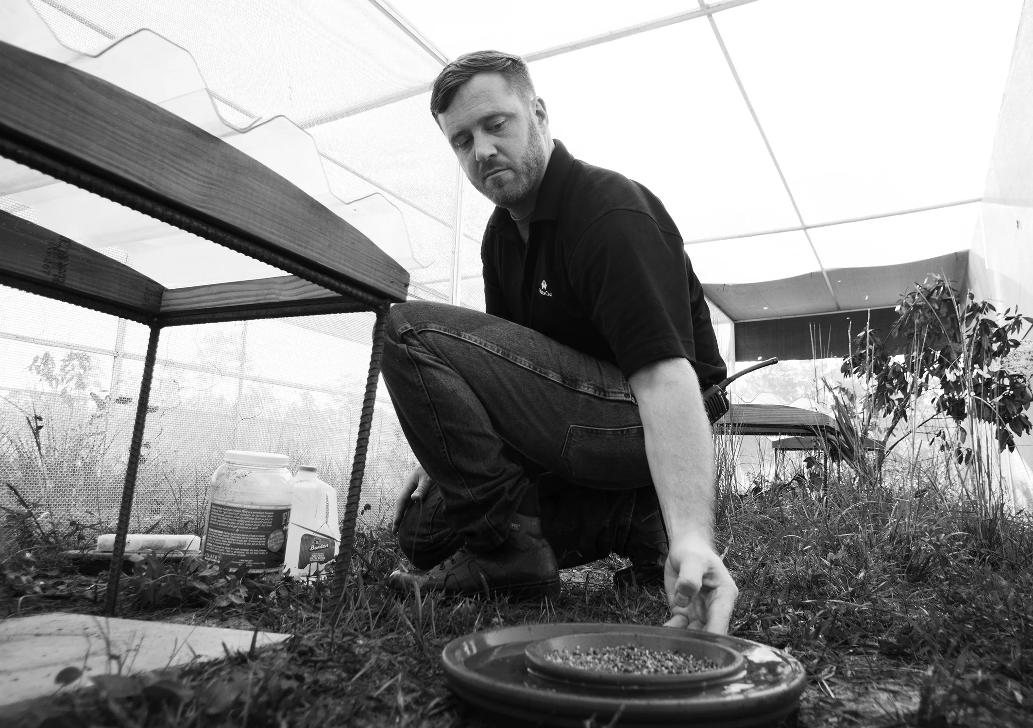 Andrew Schumann sets out a new plate of food for the sparrows.