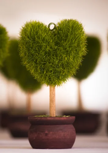 little trees.jpg