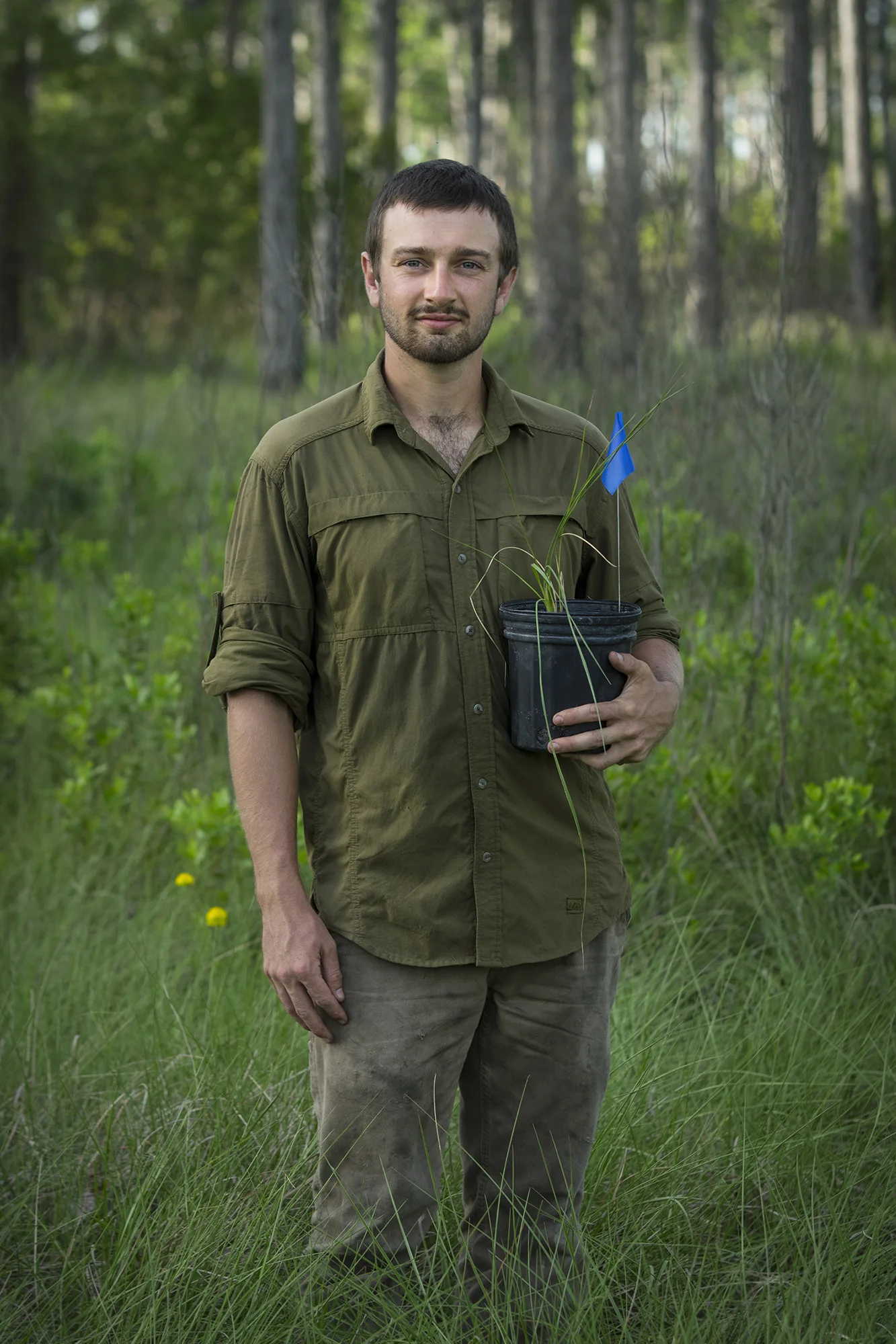 Michael Sinclair Plant Ecologist (Cutthroat Grass) Archbold Reserve 2017/6/24