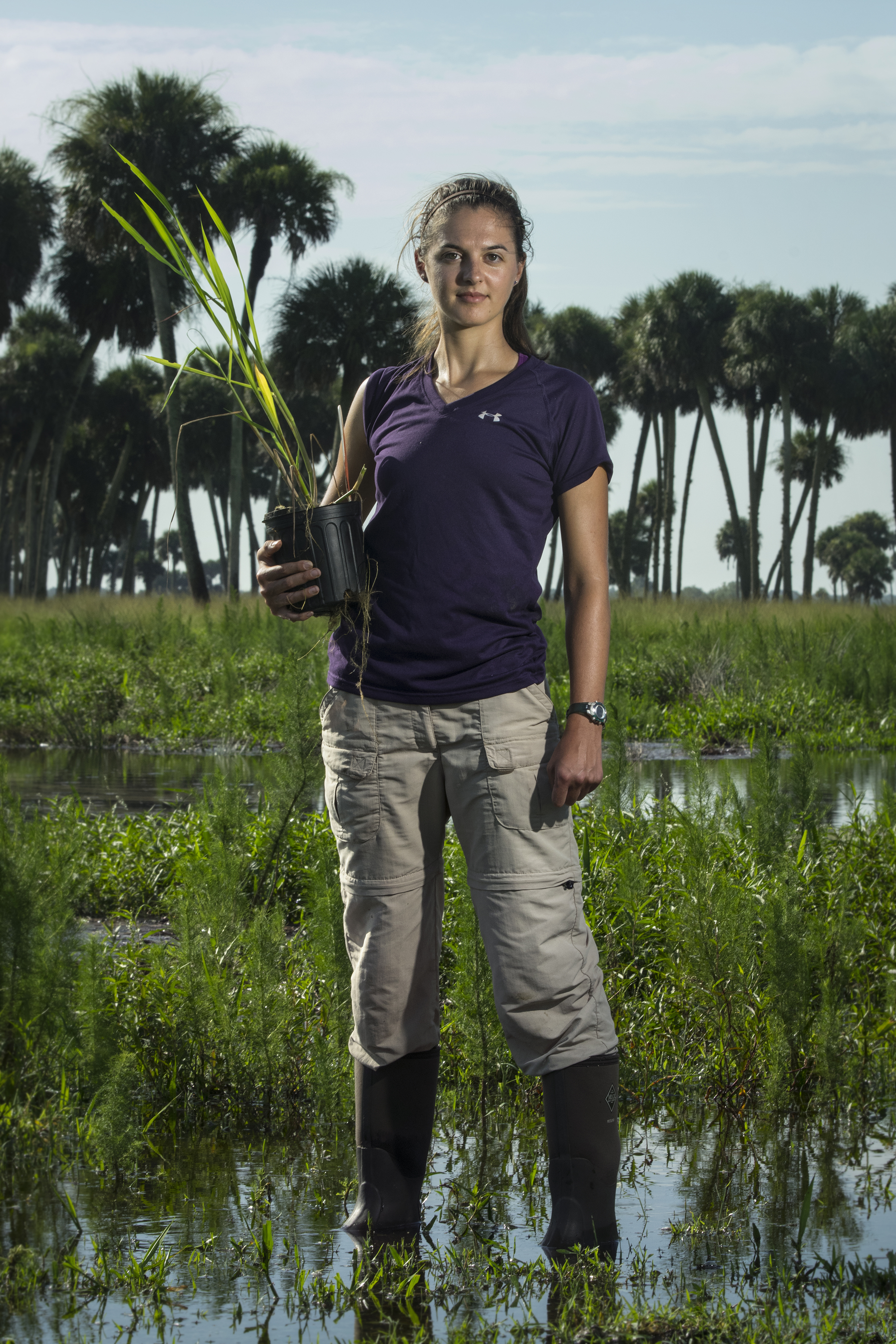 Elizabeth Bouchard Agro-ecology Research Intern MacArthur Agro-ecology Research Center 2017/8/2