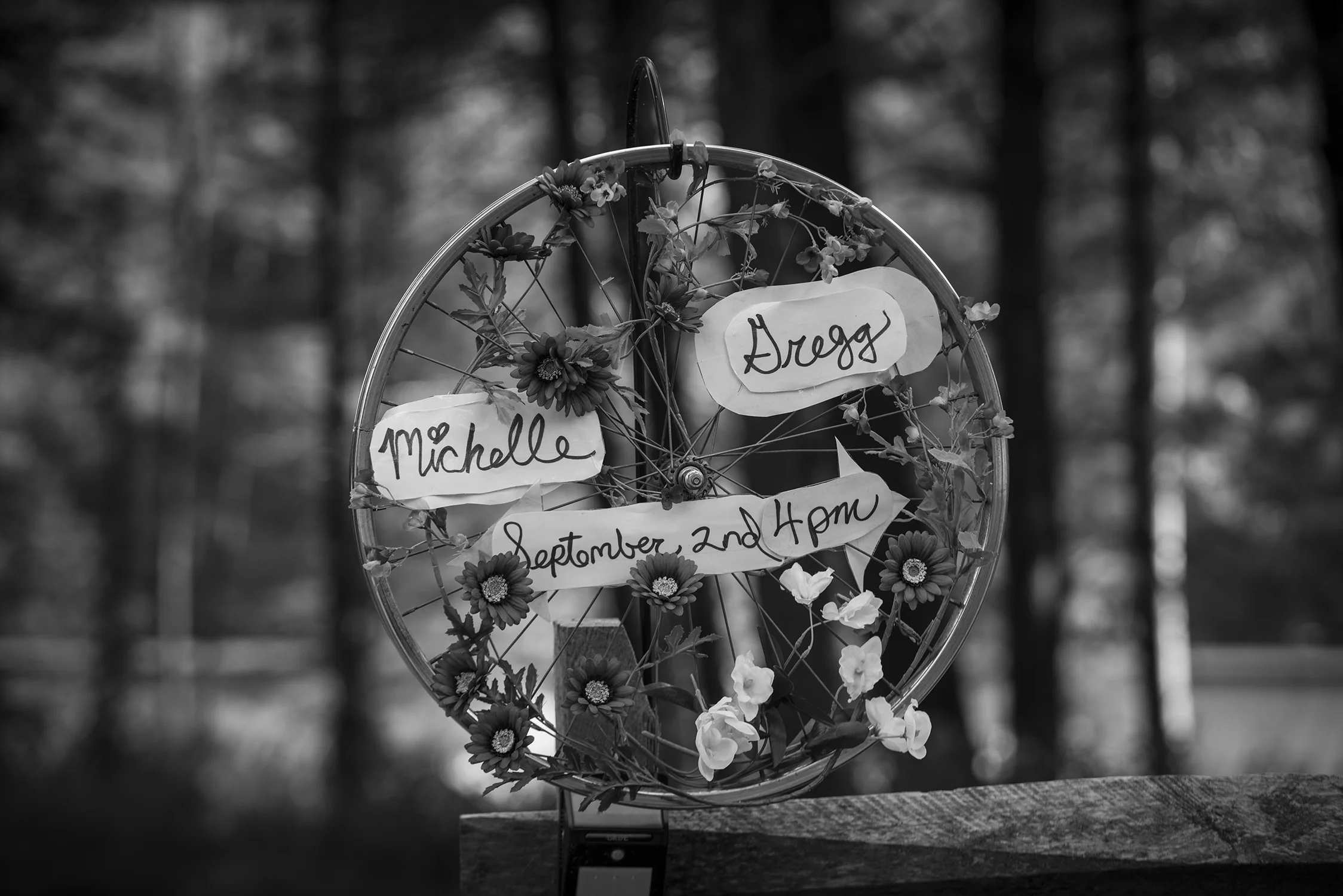 GreggMichelleWedding_fridayabw.jpg