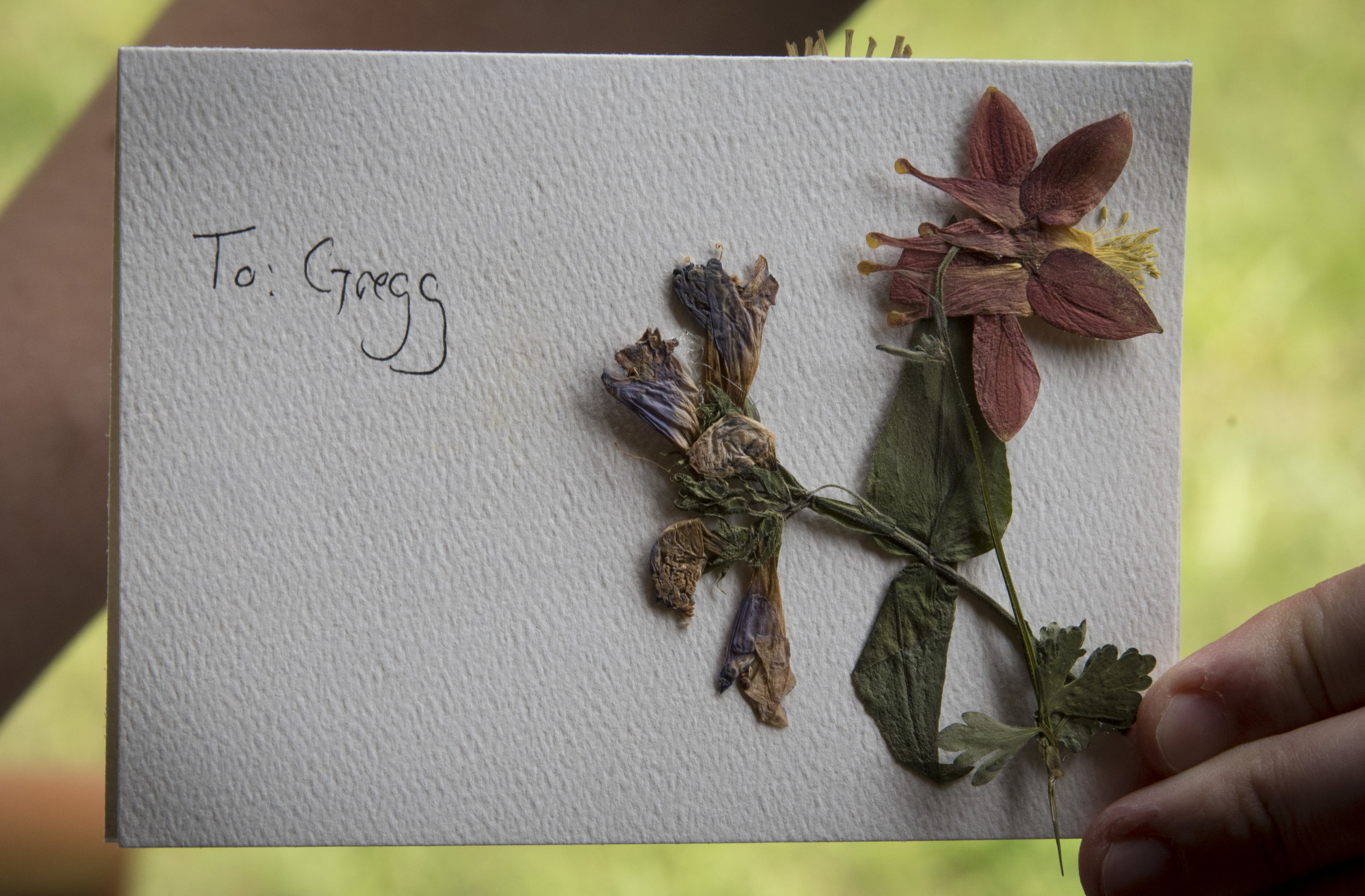 GreggMichelleWedding_Ashokana_16.JPG