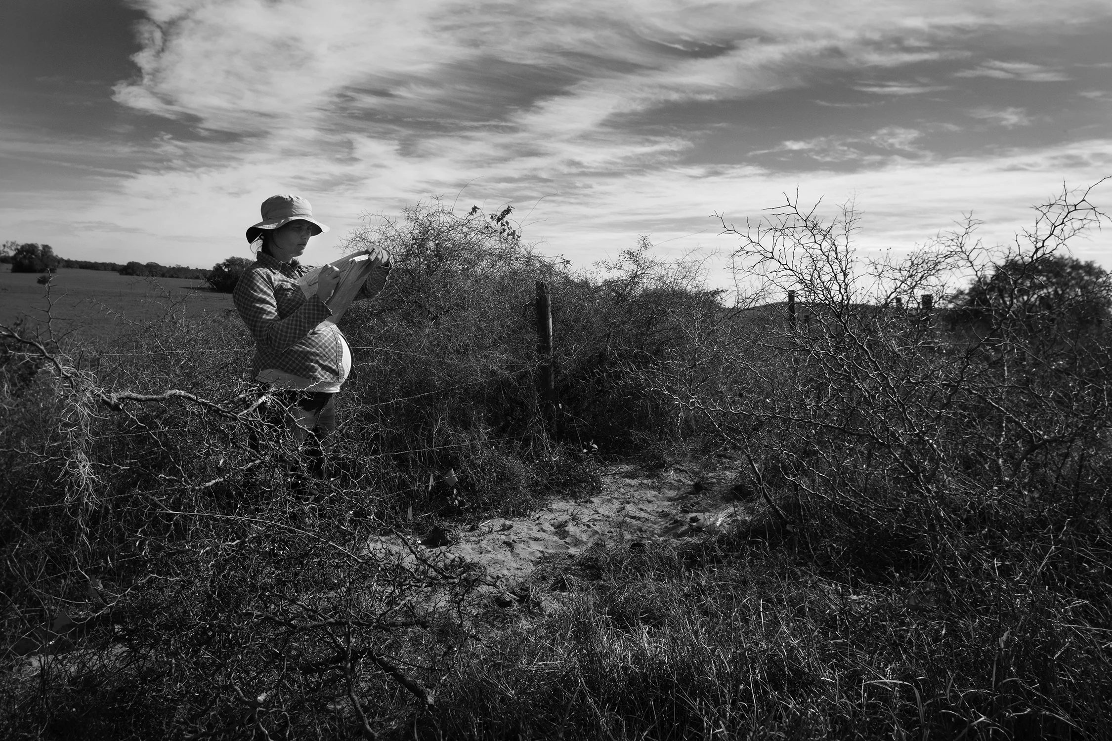 IMGP7117bw.jpg